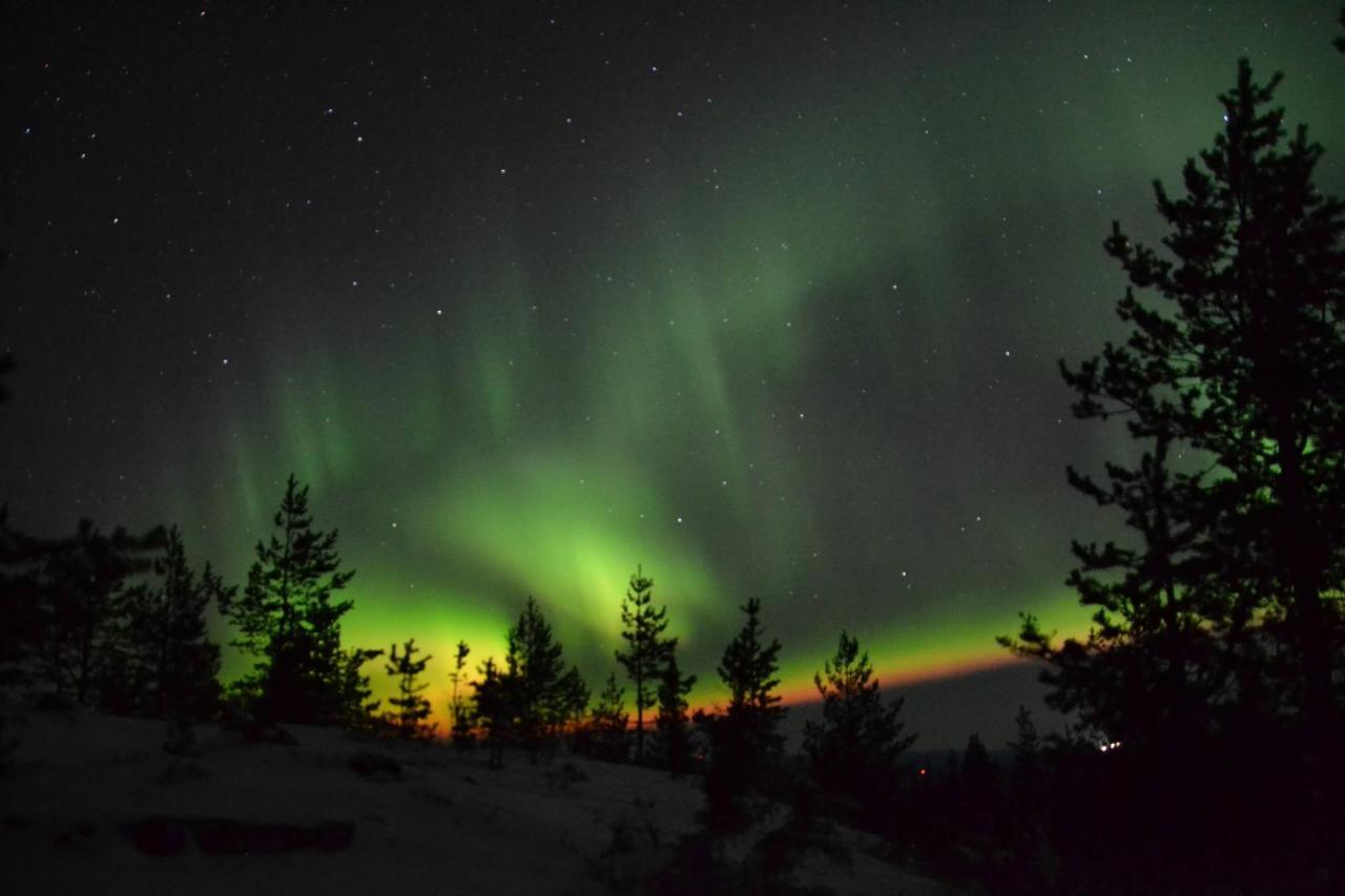 Lagomhuset - A Peaceful Holiday In Swedish Lapland Vidsel Dış mekan fotoğraf