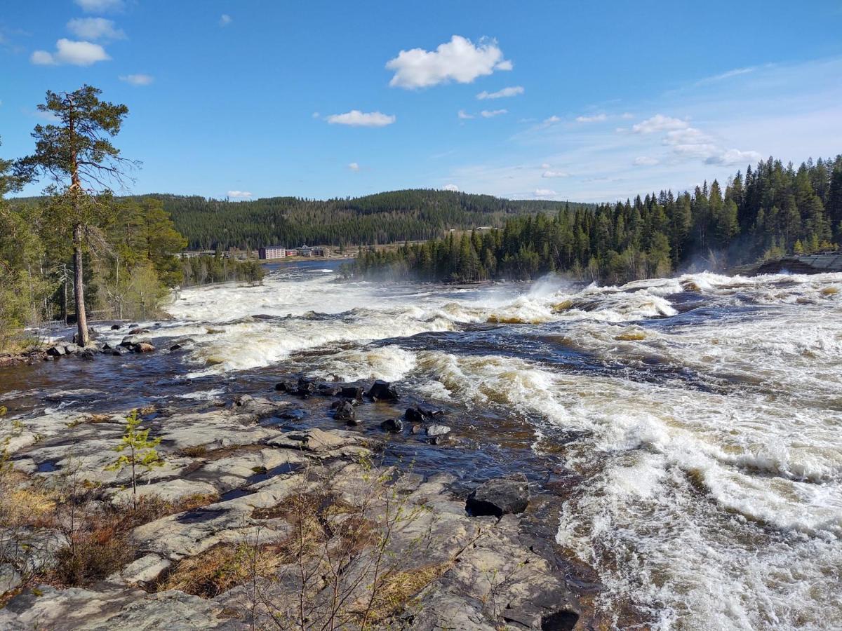 Lagomhuset - A Peaceful Holiday In Swedish Lapland Vidsel Dış mekan fotoğraf