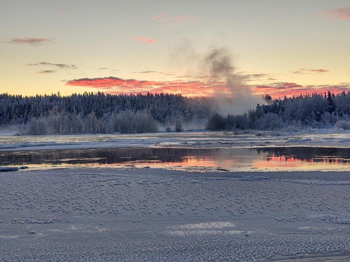 Lagomhuset - A Peaceful Holiday In Swedish Lapland Vidsel Dış mekan fotoğraf